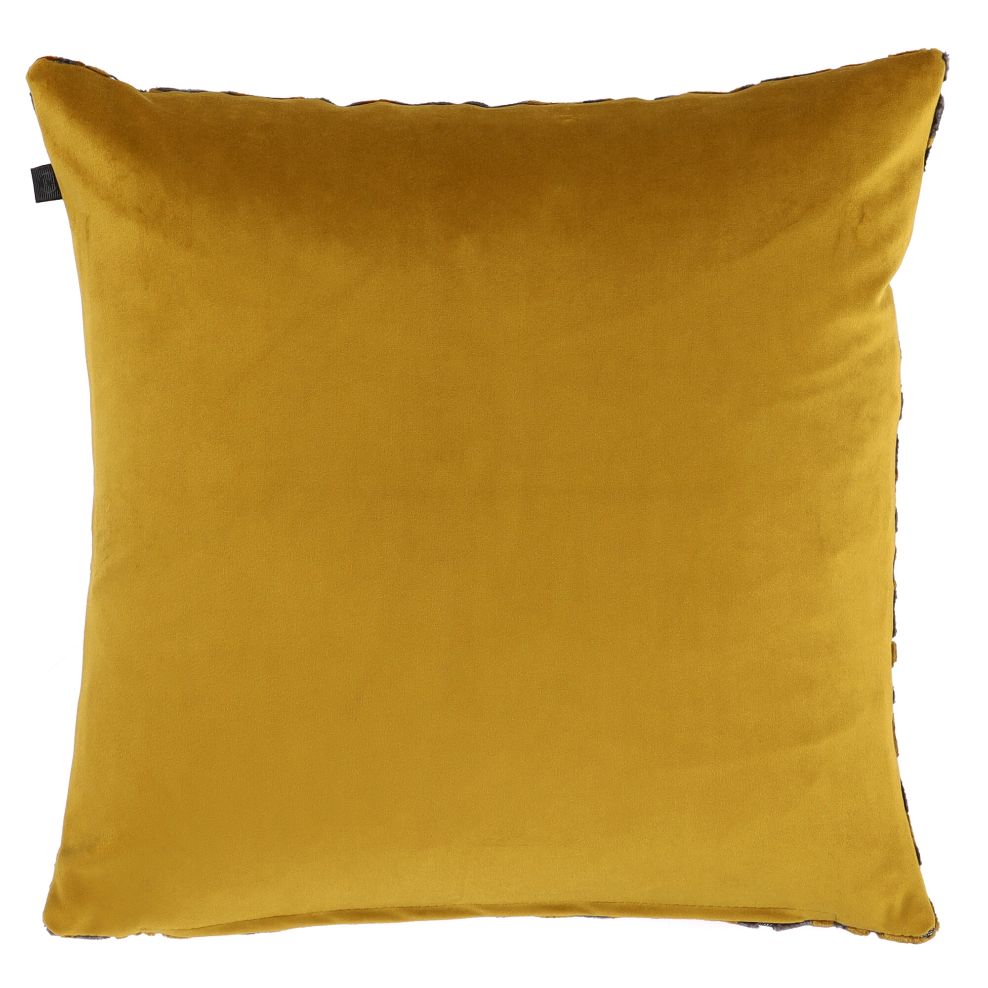 43155.4545.56 Grosio