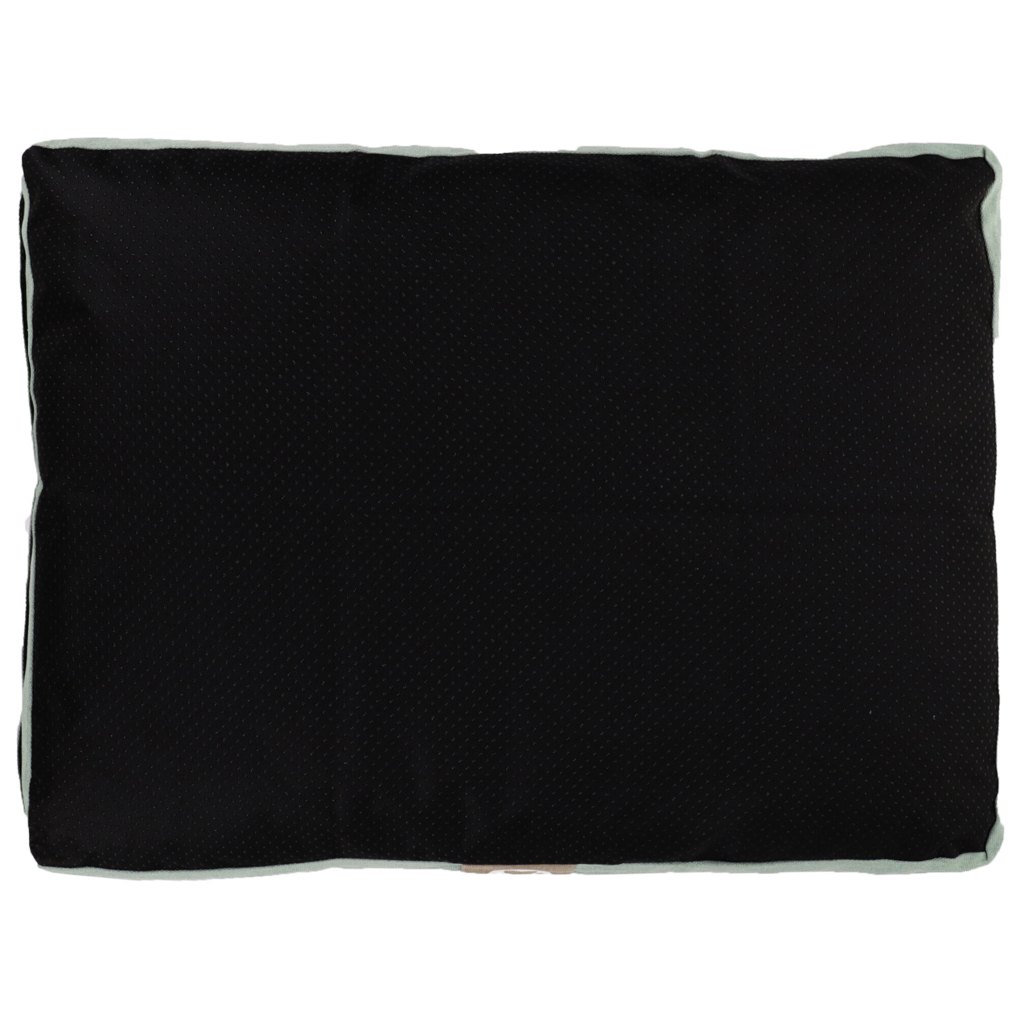 43250.7011010.20 Canvas